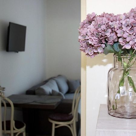River Apartment Makó Dış mekan fotoğraf
